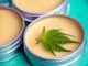 Marihuana, THC i przykładowe odmiany odmiany
