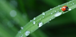 Jaką pościel do kampera?