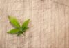 Czy gaśnica samochodowa musi mieć legalizację 2023?
